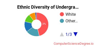 Cascadia College Student Ethnic Diversity Statistics