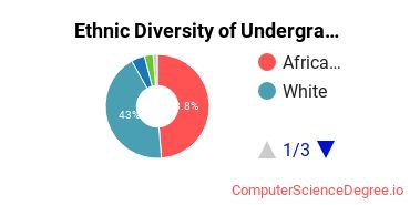 Central Georgia Technical College Student Ethnic Diversity Statistics