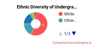 Henry Ford College Student Ethnic Diversity Statistics