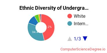 LDS Business College Student Ethnic Diversity Statistics