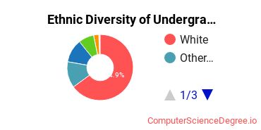 Rowan College at Gloucester County Student Ethnic Diversity Statistics