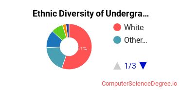 SUNY Broome Community College Student Ethnic Diversity Statistics