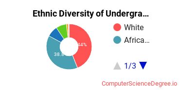 University of Arkansas-Pulaski Technical College Student Ethnic Diversity Statistics