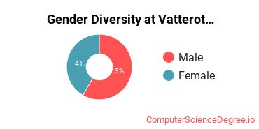 Gender Diversity at Vatterott College-Dividend