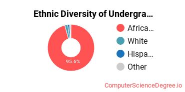 Vatterott College-Dividend Student Ethnic Diversity Statistics