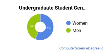 Undergraduate Student Gender Diversity at  Abraham Lincoln University