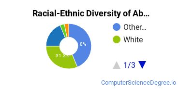 Racial-Ethnic Diversity of Abraham Lincoln University Undergraduate Students