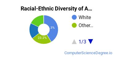 Racial-Ethnic Diversity of American Institute-Toms River Undergraduate Students
