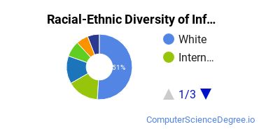 Racial-Ethnic Diversity of Information Technology Majors at Arizona State University - Polytechnic
