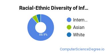 Racial-Ethnic Diversity of Information Technology Project Management Majors at Arizona State University - Polytechnic