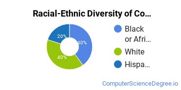 Racial-Ethnic Diversity of Computer Information Systems Majors at Asher College