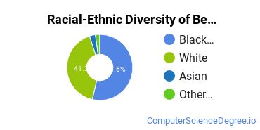 Racial-Ethnic Diversity of Beckfield College-Tri-County Undergraduate Students