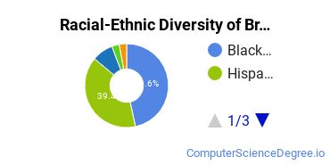 Racial-Ethnic Diversity of Branford Hall Career Institute - Jersey City Undergraduate Students