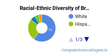 Racial-Ethnic Diversity of Broadview University - West Jordan Undergraduate Students