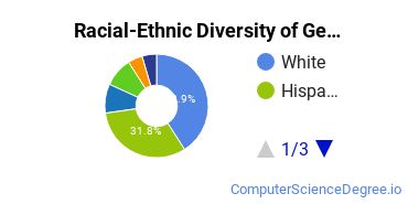 Racial-Ethnic Diversity of General Computer Programming Majors at Brookhaven College