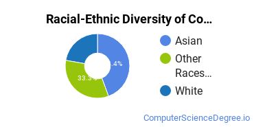Racial-Ethnic Diversity of Computer Science Majors at Brookhaven College