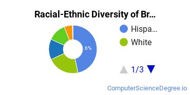 Racial-Ethnic Diversity of Brookhaven College Undergraduate Students
