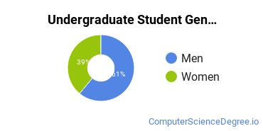 Undergraduate Student Gender Diversity at  Bryant