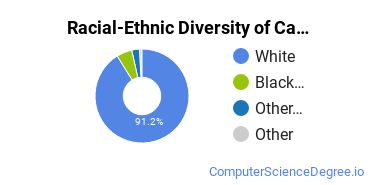 Racial-Ethnic Diversity of Carver Career Center Undergraduate Students