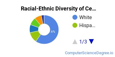 Racial-Ethnic Diversity of Cedar Crest Undergraduate Students