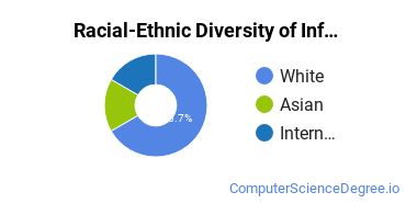 Racial-Ethnic Diversity of Information Science Majors at Central Connecticut State University