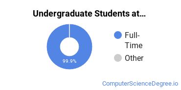 Full-Time vs. Part-Time Undergraduate Students at Centre College of Kentucky