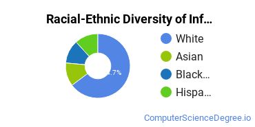 Racial-Ethnic Diversity of Information Technology Majors at Charter Oak State College