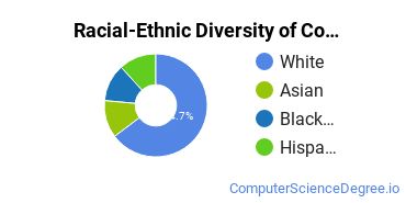 Racial-Ethnic Diversity of Computer & IS Security Majors at Charter Oak State College