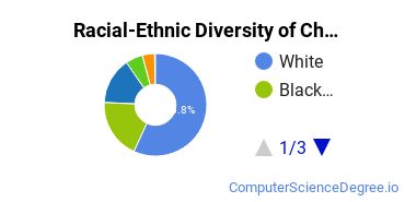 Racial-Ethnic Diversity of Charter Oak State College Undergraduate Students