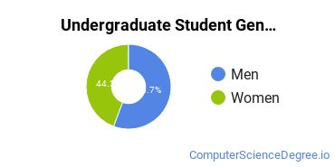 Undergraduate Student Gender Diversity at  Cleary College