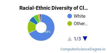 Racial-Ethnic Diversity of Cleary College Undergraduate Students