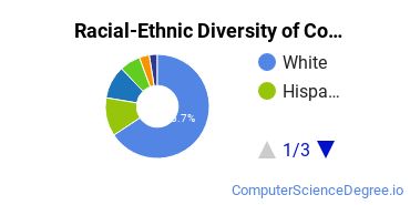 Racial-Ethnic Diversity of Coe Undergraduate Students