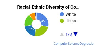 Racial-Ethnic Diversity of Cogswell Undergraduate Students