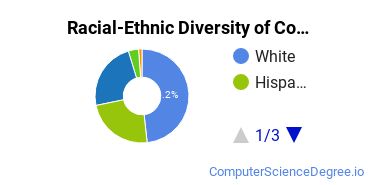 Racial-Ethnic Diversity of CollegeAmerica - Fort Collins Undergraduate Students