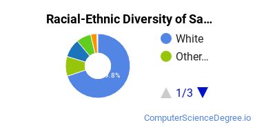 Racial-Ethnic Diversity of Saint Mary Undergraduate Students