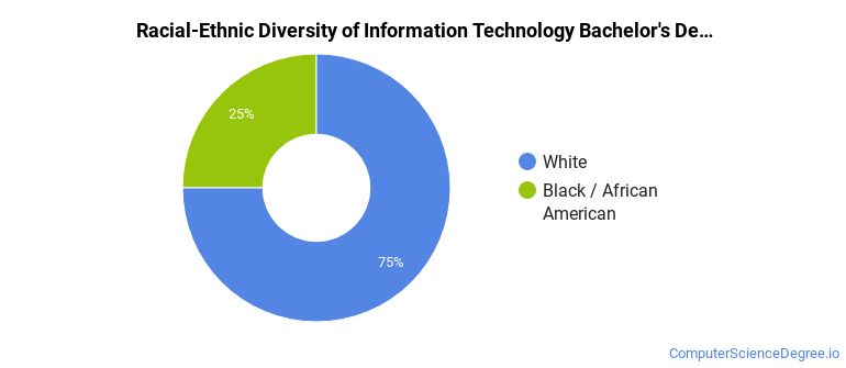 Racial-ethnic diversity of Information Technology majors at Colorado Christian University