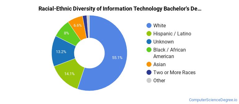 Racial-ethnic diversity of Information Technology majors at Colorado State University Global