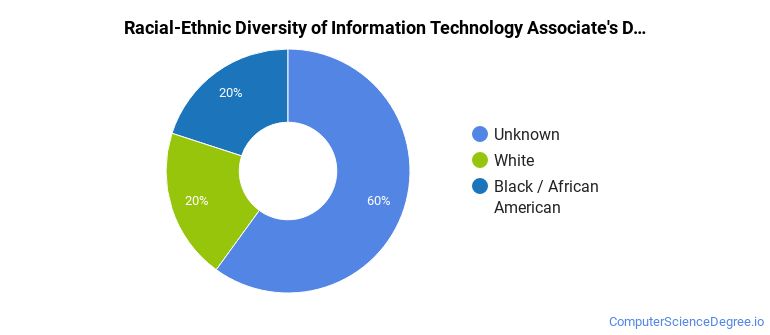 Racial-ethnic diversity of Information Technology majors at Colorado Technical University-Colorado Springs