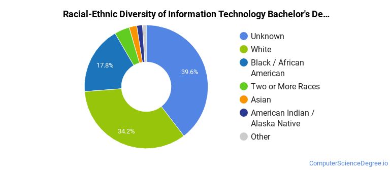 Racial-ethnic diversity of Information Technology majors at Colorado Technical University-Colorado Springs
