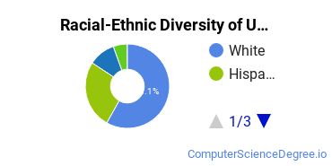 Racial-Ethnic Diversity of UA Cossatot Undergraduate Students