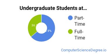  Full-Time vs. Part-Time Undergraduate Students at  D A Dorsey Technical College