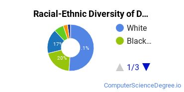 Racial-Ethnic Diversity of DCAD Undergraduate Students