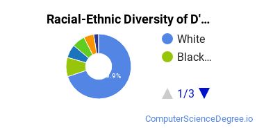 Racial-Ethnic Diversity of D'Youville College Undergraduate Students