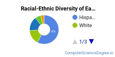 Racial-Ethnic Diversity of Eastfield College Undergraduate Students