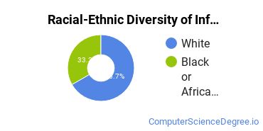 Racial-Ethnic Diversity of Informatics Majors at Faulkner University