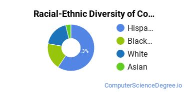 Racial-Ethnic Diversity of Computer Information Systems Majors at Florida Technical College