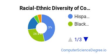 Racial-Ethnic Diversity of Computer Systems Networking Majors at Florida Technical College