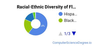 Racial-Ethnic Diversity of Florida Technical College Undergraduate Students