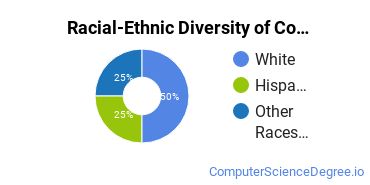 Racial-Ethnic Diversity of Computer Support Specialist Majors at Fortis Institute - Erie