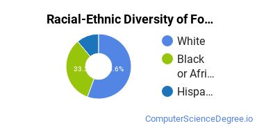 Racial-Ethnic Diversity of Fortis Institute - Erie Undergraduate Students